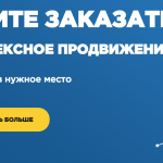 SEO Team