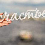 adedafafcb