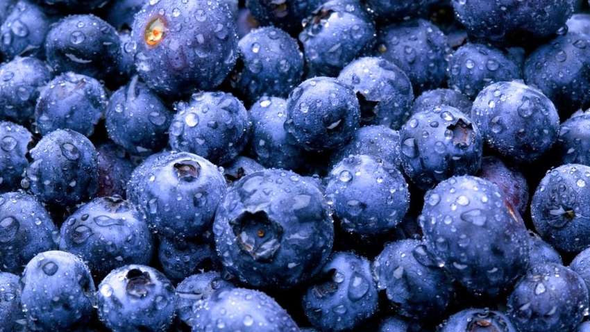 Названы пять лучших антивозрастных продуктов