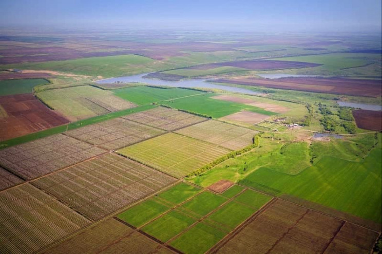 В Украине уже продали почти 20 тыс. га земель