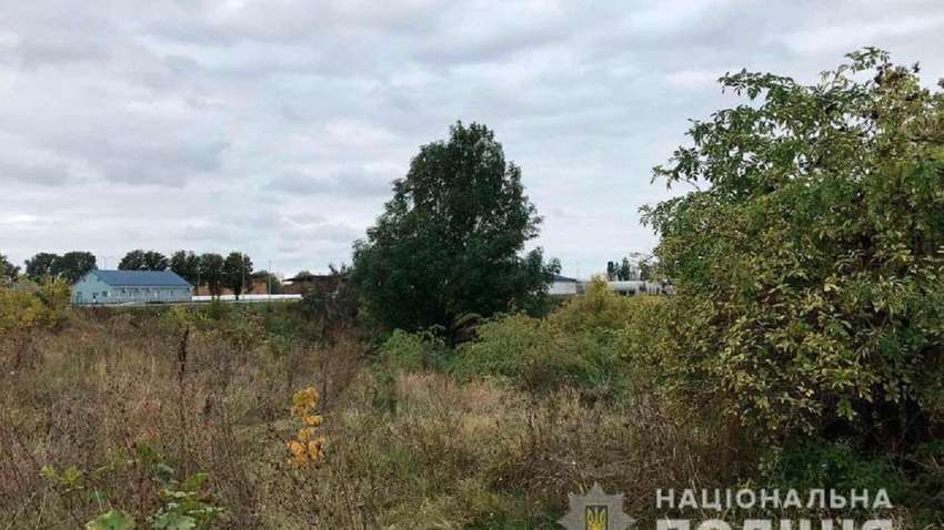В Полтавской области пропавшего без вести юношу обнаружили мёртвым в лесополосе