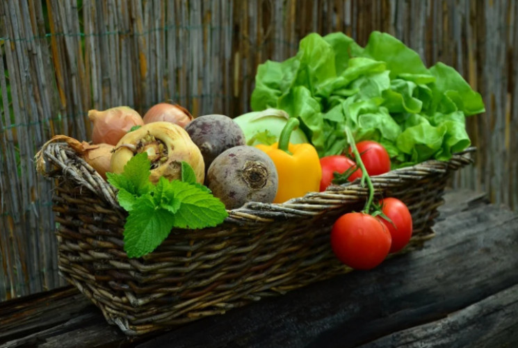 В Украине подешевели продукты: Какие больше и меньше всего