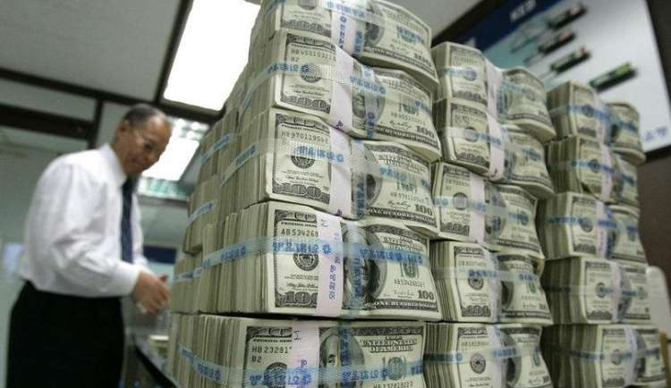Zoom вложила 100 млн долларов в развитие стартапов: кто получит финансирование