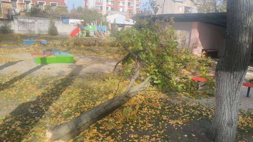 В Кременчуге умерла 4-летняя девочка, на которую в детском саду упало дерево
