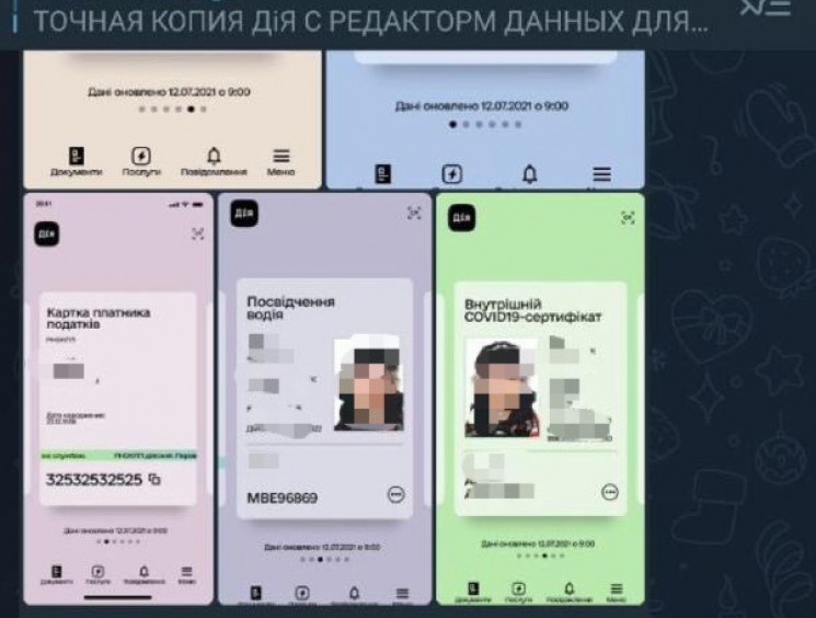 Продавал за 100 гривен: В Запорожье разоблачили 21-летнего разработчика фейковой “Дии”