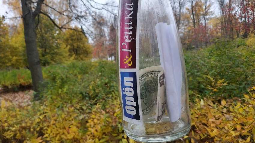 Россияне выкорчевали все пни в берёзовой роще ради 100 от телешоу «Орел и решка»