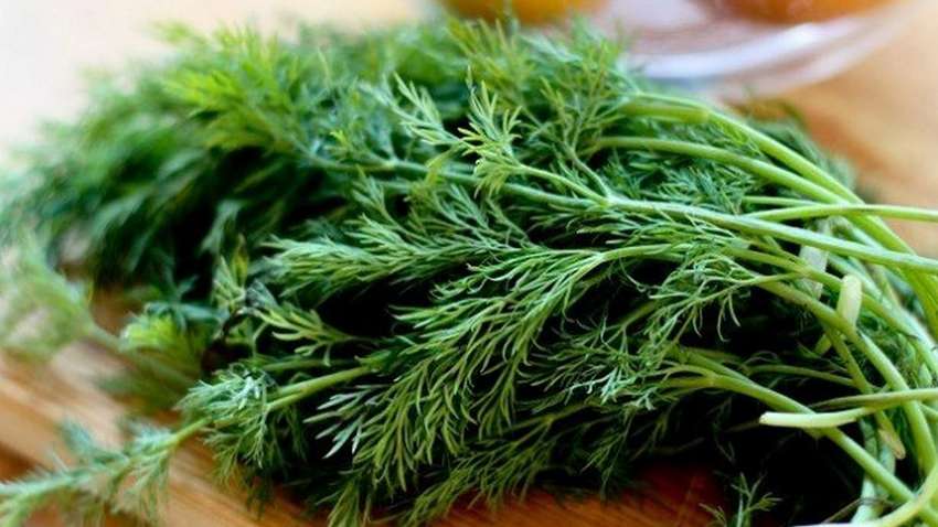 Назван идеальный продукт для выведения шлаков