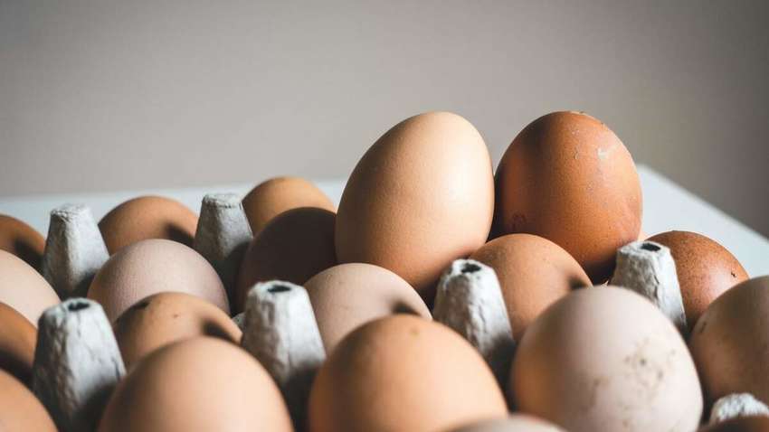 Эксперты назвали три продукта для борьбы с усталостью