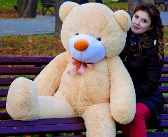 Плюшевый мишка в подарок: особенности игрушки