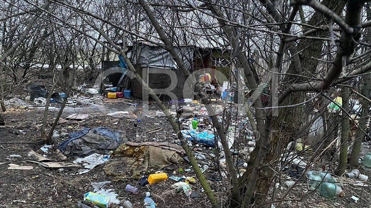 На Днепропетровщине на свалке обнаружили человеческие кости: Бездомные похоронили товарища (ФОТО)
