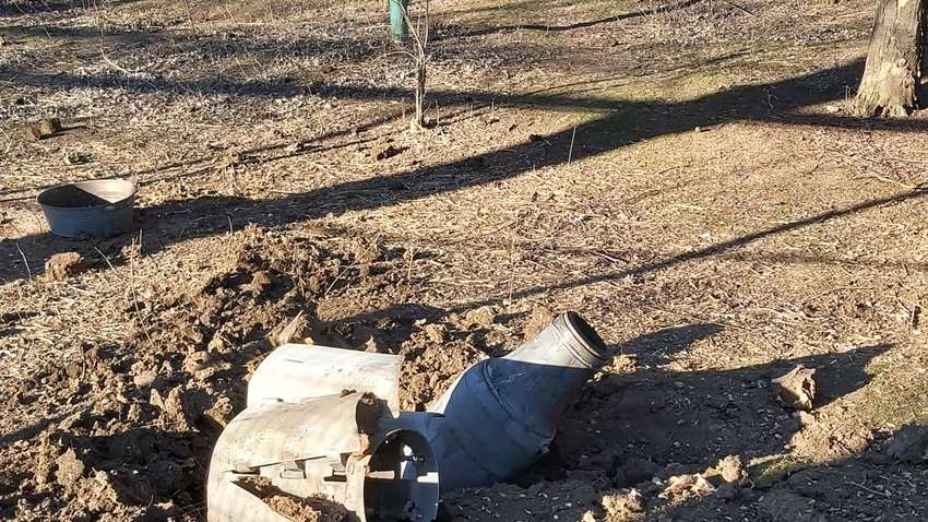 Николаевский зоопарк в условиях войны: обстрелы, гуманитарная помощь, пожертвования украинцев
