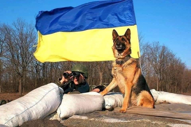 28-й день войны, 23 марта: Освобожденные села на Николаевщине и уничтоженный склад боеприпасов на Луганщине