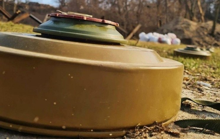 На Житомирщине заминированы 74,3 км², пиротехники уже активно расчищают область