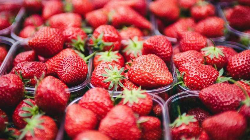 На вкус и цвет: как выбрать клубнику без химикатов