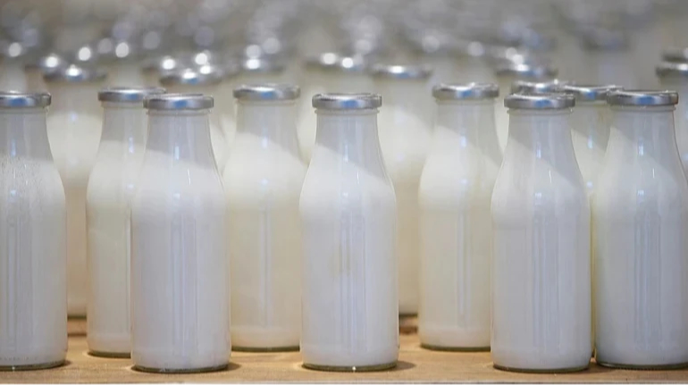 Експорт молочних продуктів з України до ЄС скоротився