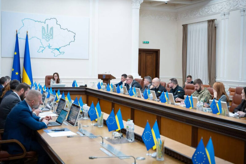 Кабмін звільнив голову АРМА Олену Думу
