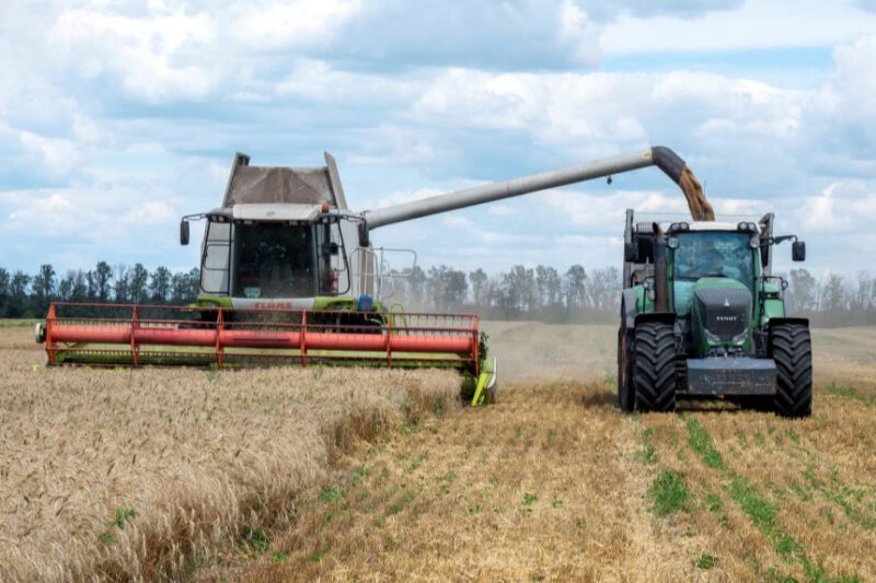 В Україні зібрано понад 28 млн тонн ранніх зернових