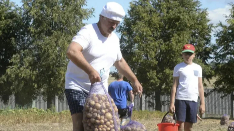 Білорусь вперше застосувала антимонопольні норми щодо картоплі