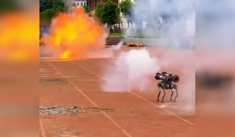 Китай представив бойового робота-собаку з ракетами