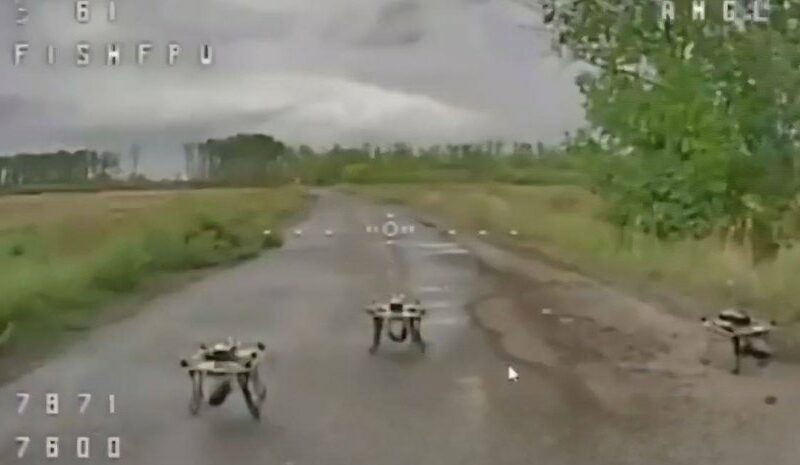 Нацгвардія знищила російські дрони у засідці