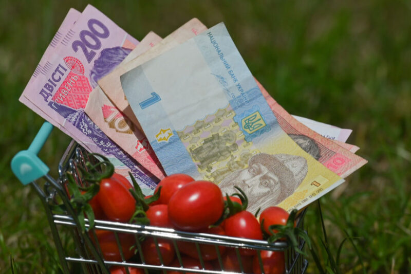 Зміни до прожиткового мінімуму: нові законопроекти