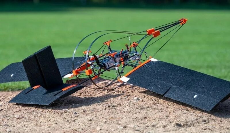 Швейцарський дрон SWIFT: інновації на основі дятлів