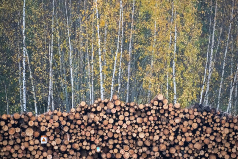 Швеція та Фінляндія закликають до зміни кліматичної політики