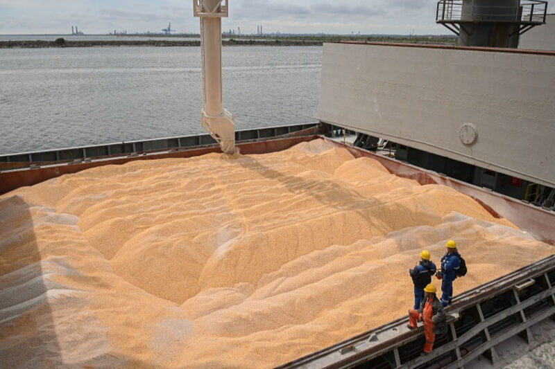 Експорт української пшениці знизився на 28% у 2025/26