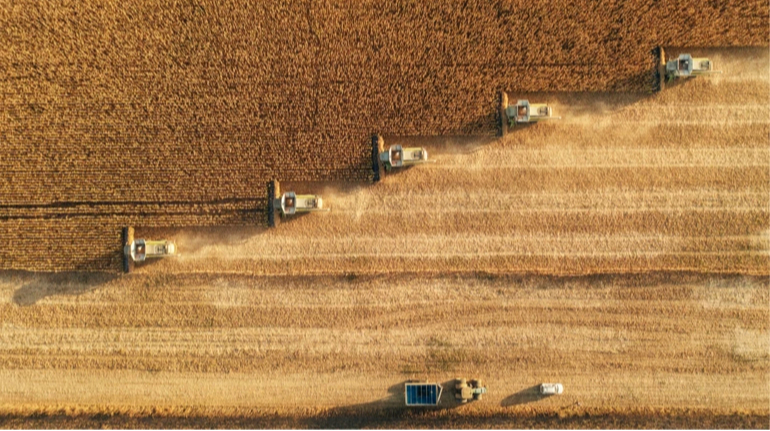 Приріст реального ВВП України досяг 8% у серпні