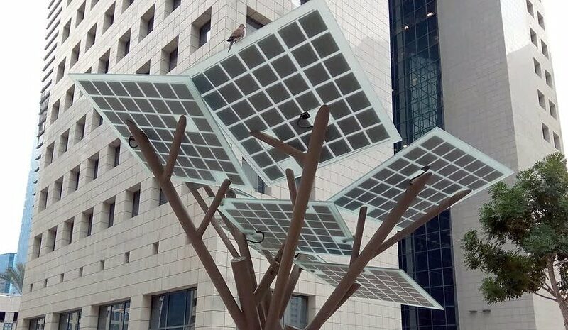 Сонячні дерева: новий шлях до відновлювальної енергії