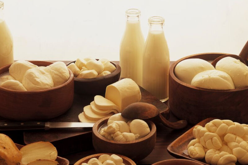 Експорт молочних продуктів України у серпні 2025 року