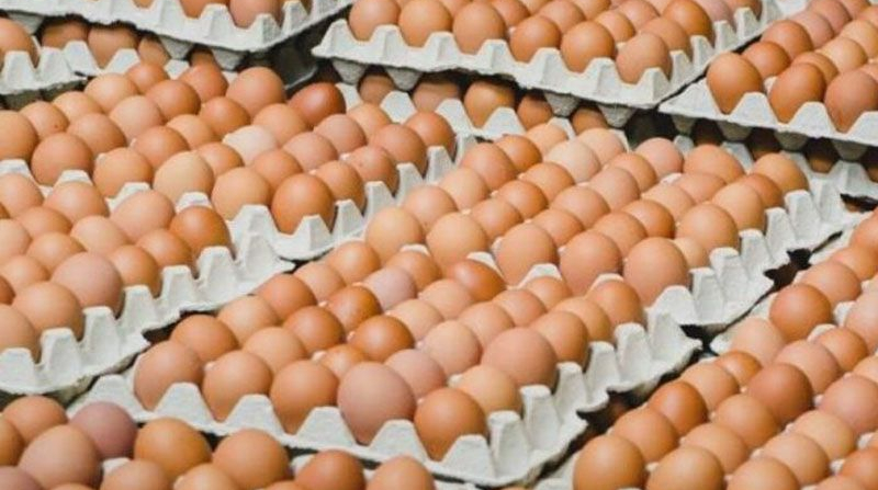 Експорт яєць з України зріс у 2,6 рази за 7 місяців