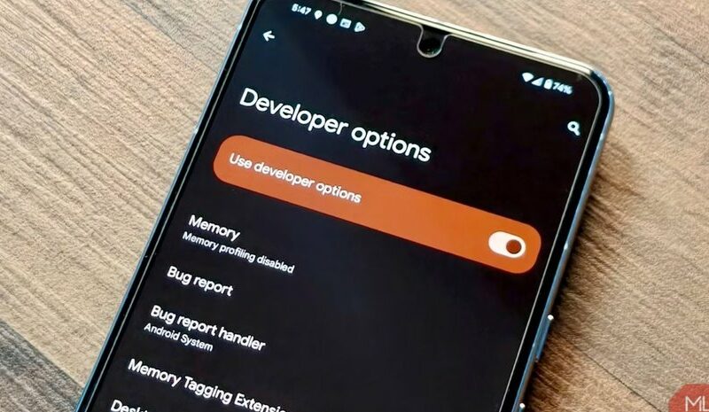 Секрети меню для розробників в Android-смартфонах
