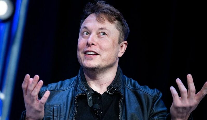 Ілон Маск запустив Grokipedia – нову енциклопедію на AI