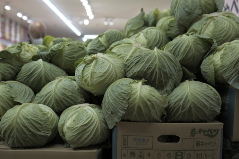 Ціни на капусту в Україні знизились на 16%