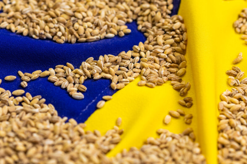 Зміна митних квот для агропозицій з України