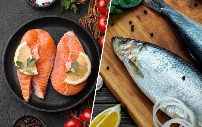 Оселедець чи лосось: що обрати для здоров’я?