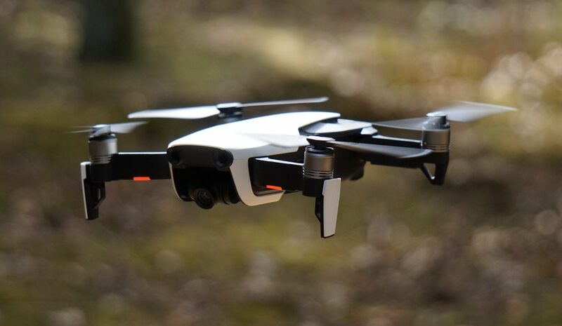 Японія використовує дрони для відлякування ведмедів