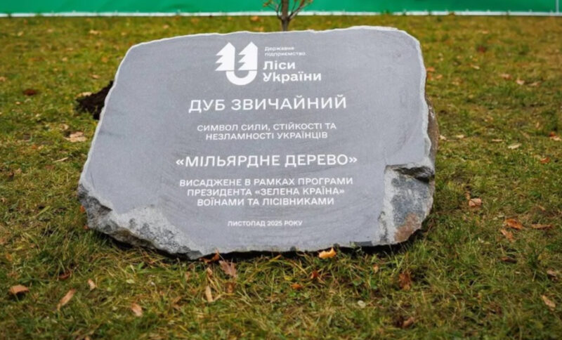 ДП ‘Ліси України’ висадило мільярд дерев у рамках програми