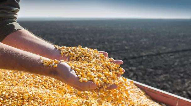 Експорт агропродукції України зріс на 20,8% у жовтні