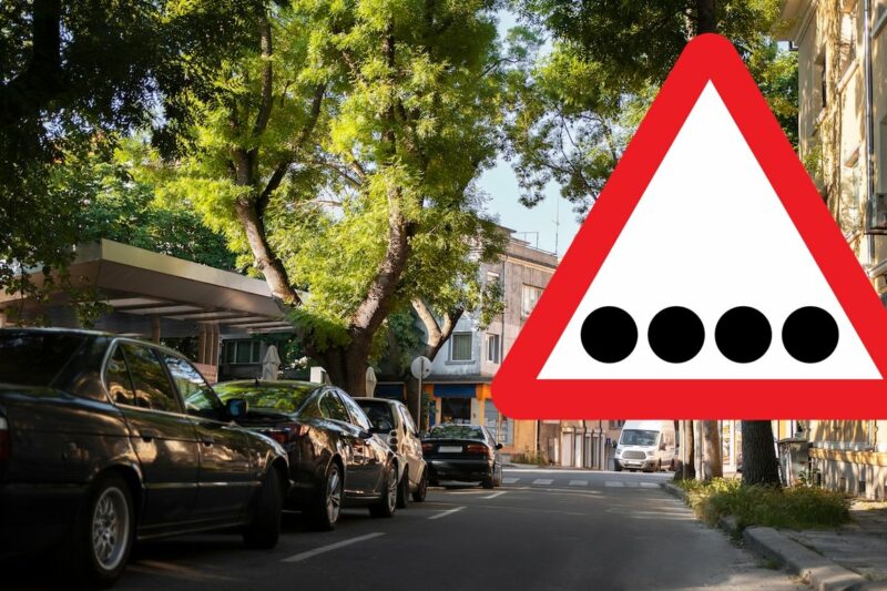 Незвичайний дорожній знак в Індії: що він означає?