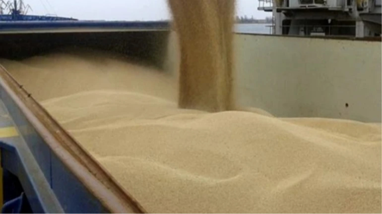 Санкції України проти 56 морських суден-крадіїв