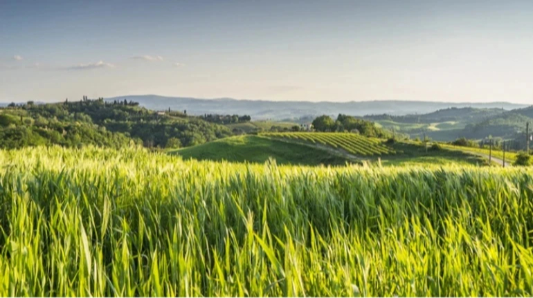 Земельний податок: Дніпропетровщина та Київ лідирують