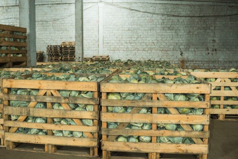 Перше овочесховище в Україні отримало держфінансування